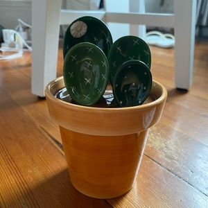 Cactus Measuring Spoon Set